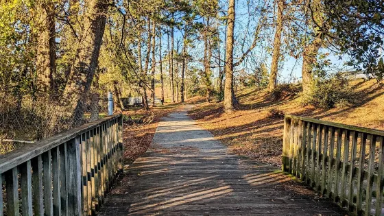 Gator Alley Boardwalk