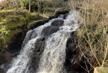 Gorges de Narvau景点图片