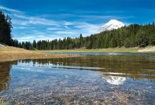 Wildmoossee (periodisch)景点图片