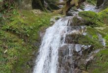 Shojin Falls景点图片