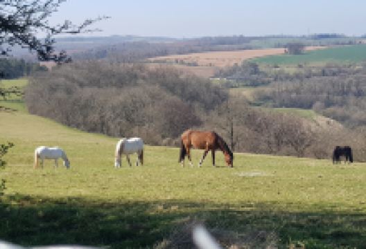 Lineover Wood景点图片