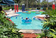 Seminole Palms Park景点图片