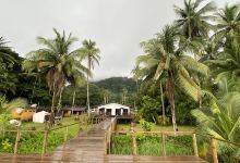 Gorgona Isla, Undewater Picture景点图片