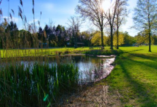 Guinea Lane Park景点图片