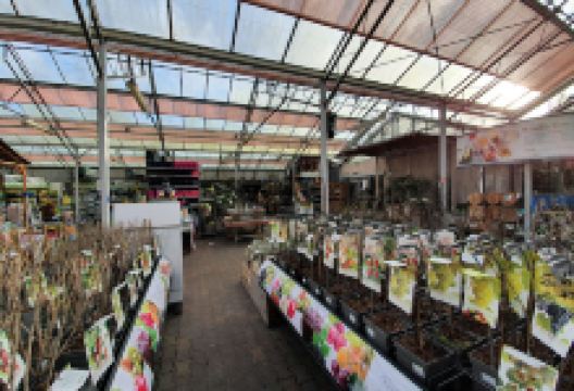 Tuincentrum Den Helder购物图片
