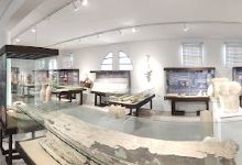 Museo Histórico-Arqueológico de Doña Mencía景点图片