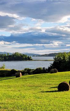 Arm of Gold Campground-小布拉多尔