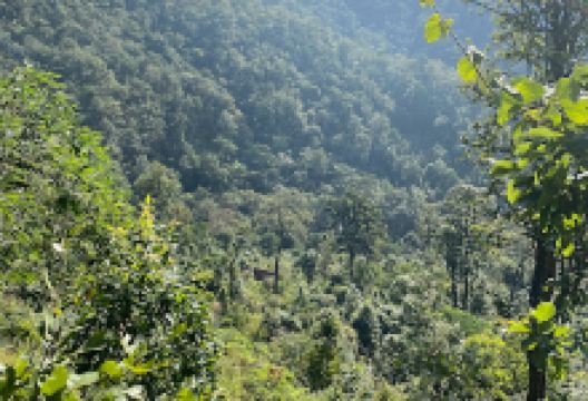 Ghata thari景点图片