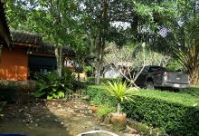 Wat Mafueang Tai景点图片