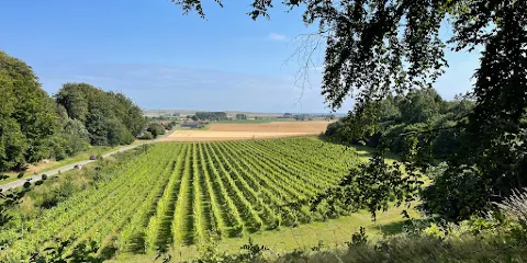 Köpingsbergs Vingård