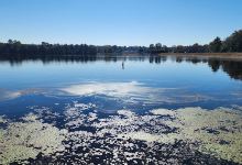 Langley Pond Park景点图片