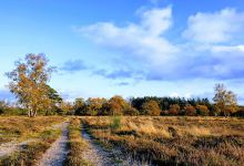 Goois Natuurreservaat Vliegheide景点图片
