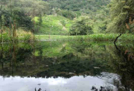 Laguna Encantada景点图片
