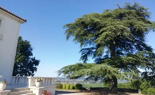 Chateau Ladesvignes