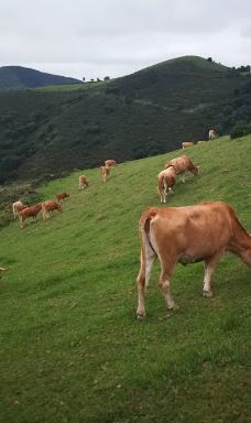 Flysch ibilbidearen hasiera-吉普斯夸省