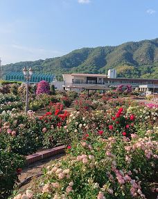 Yoshiumi Rose Park-今治市