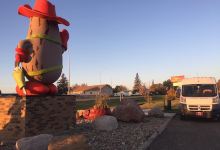 Pinto Macbean: World’s Largest Pinto Bean景点图片