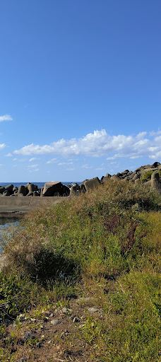 Tobinokuzure Camping Ground-仁贺保市