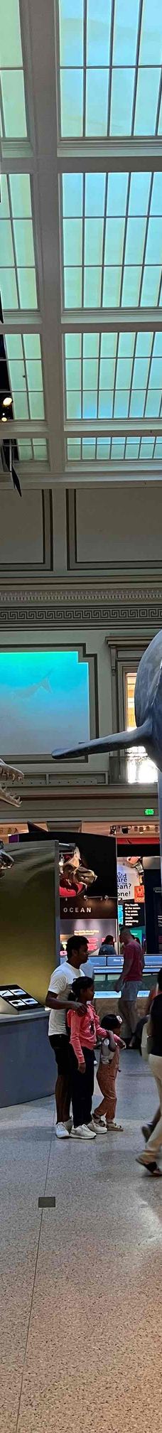 史密森博物馆-华盛顿-DCA