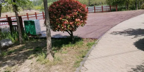 臨潁縣黃龍濕地公園-觀鳥台