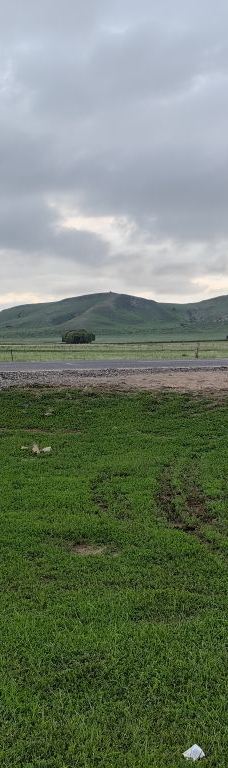 那达慕-太仆寺旗