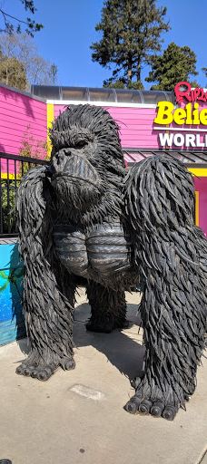 Ripley's Believe It or Not! World of Adventure-纽波特