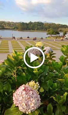 Lam Vien Square-大叻