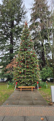 Healdsburg Plaza-希尔兹堡