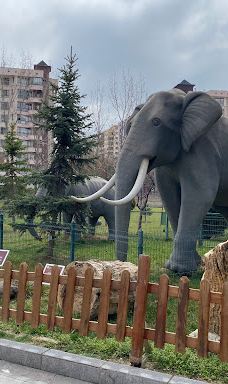 MTA Genel Müdürlüğü Şehit Cuma Dağ Tabiat Tarihi Müzesi-安卡拉