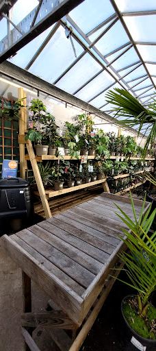 Mayfield Garden Centre-凯尔索