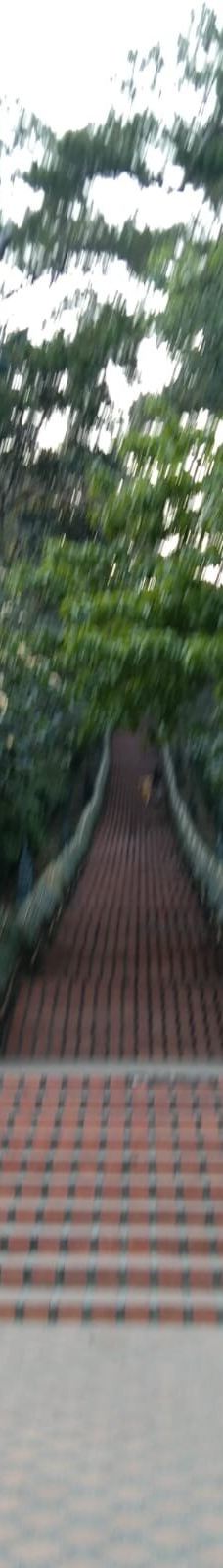 素贴山国家公园-清迈