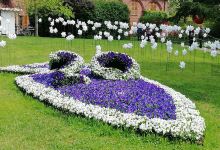 Castle of Pralormo景点图片