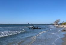 Folly Beach County Park景点图片