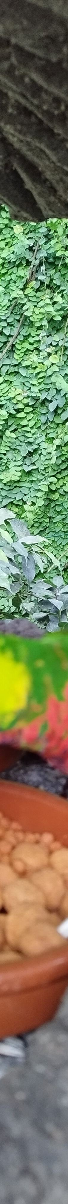 Butterfly Park Empuriabrava-Alt Emporda