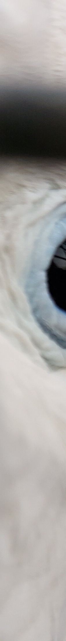 Vogelpark Niendorf-蒂门多尔费尔斯特兰德