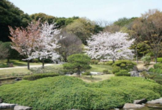 芦屋釜の里景点图片