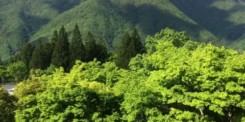 三峰山