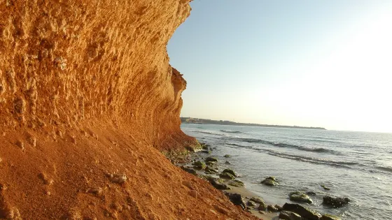Mil Palmeras Beach