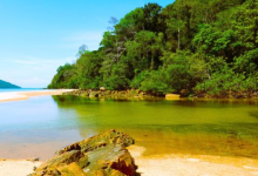 Lokobe Nature Special Reserve景点图片