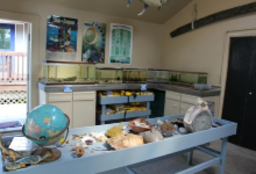 Nature Center of Cape May景点图片