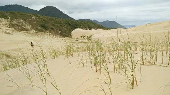 Dunas do Ouvidor e do Siriu
