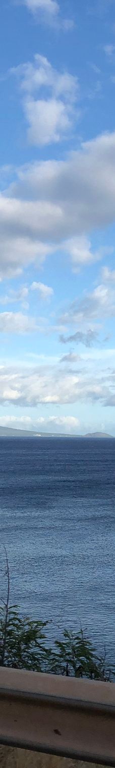 Papawai Scenic Lookout-茂宜县