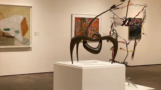 Neuberger Museum of Art