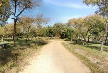 Parque de San Benito景点图片