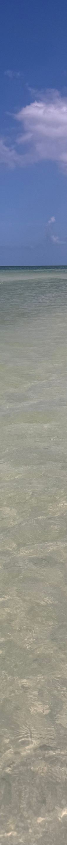 Hemingway Water Shuttle-柯里尔县