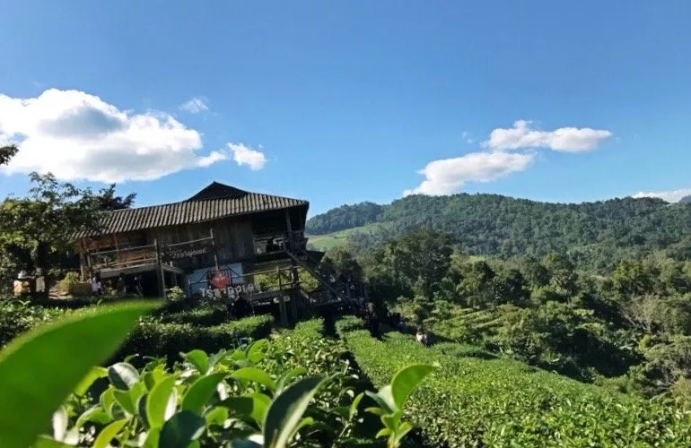 永安旅遊