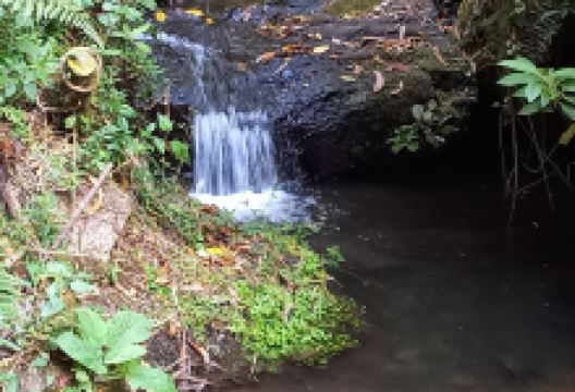 Quebrada la Vieja景点图片