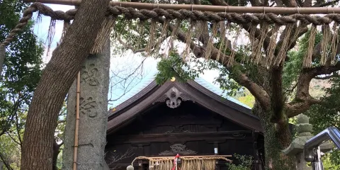 小鷹神社