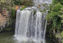 Dangars Falls景点图片