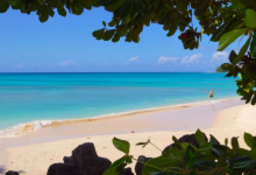 Brandons Beach景点图片